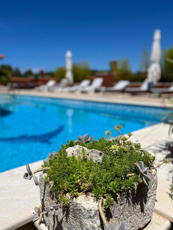 Gorana Apartman With Swimming Pool Apartman Jelsa  Kültér fotó